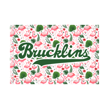 Produktansicht Bruck_Basketball Banner