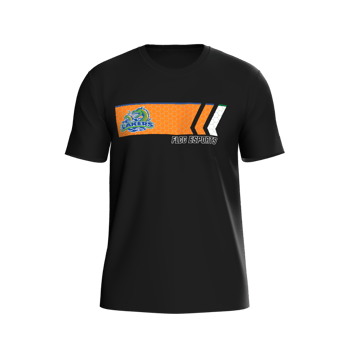 Product view FLCCEsports FLCC Esports - Prime T-Shirt - Finish Line - Black and Orange Product view FLCCEsports FLCC Esports - Prime T-Shirt - Finish Line - Black and Orange