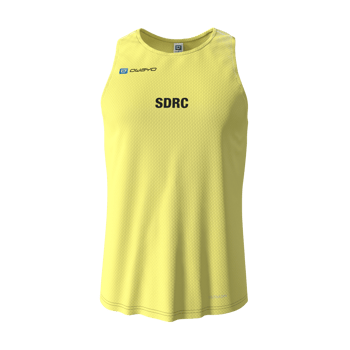 Product view SDRC Draft 3