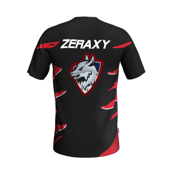 Product view DLF-officiel Maillot Officiel – Zeraxy