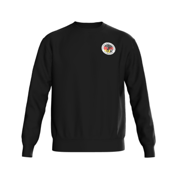 Produktansicht MsigShop Pullover "Classic" Produktansicht MsigShop Pullover "Classic"