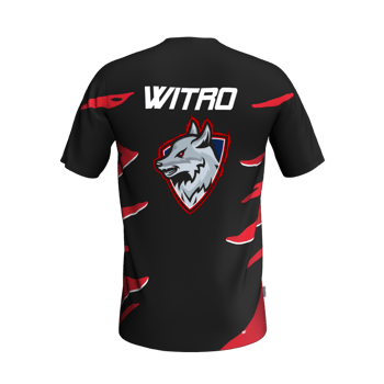 Product view DLF-officiel Maillot Officiel – Witro 