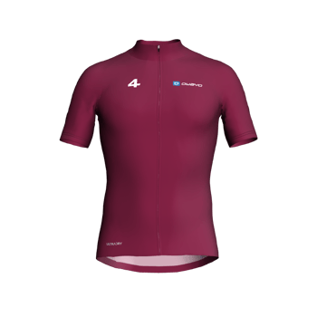 Produktansicht Swim4tri Royal I Jersey